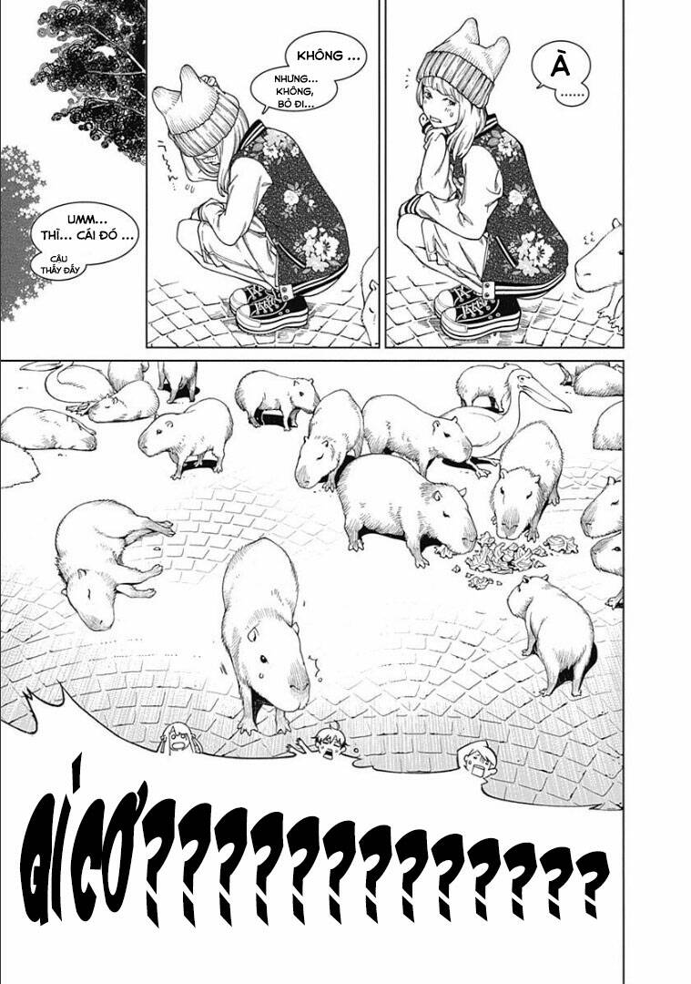 image 31