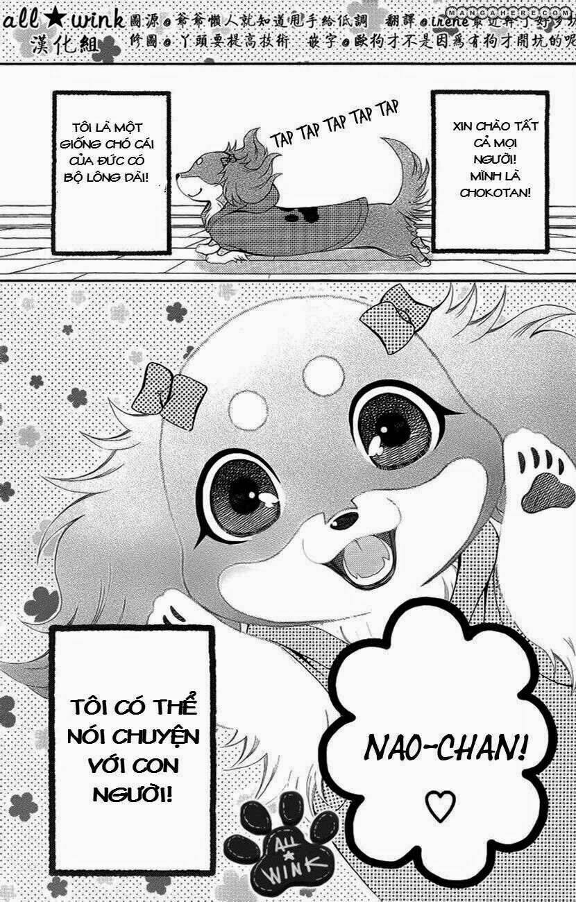 Read Hentai Image page_3 in comic Chokotan! - Chapter 1 - truyentvn.net