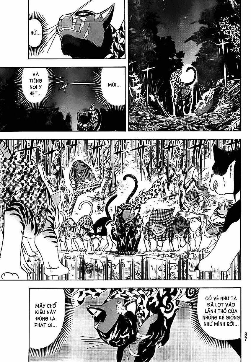 Doubutsu no Kuni - 9