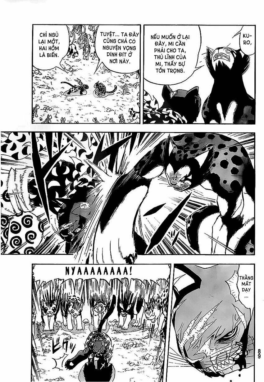 Doubutsu no Kuni - 11