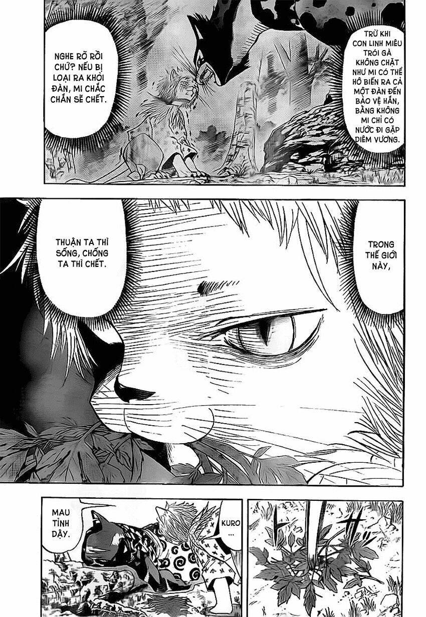 Doubutsu no Kuni - 31