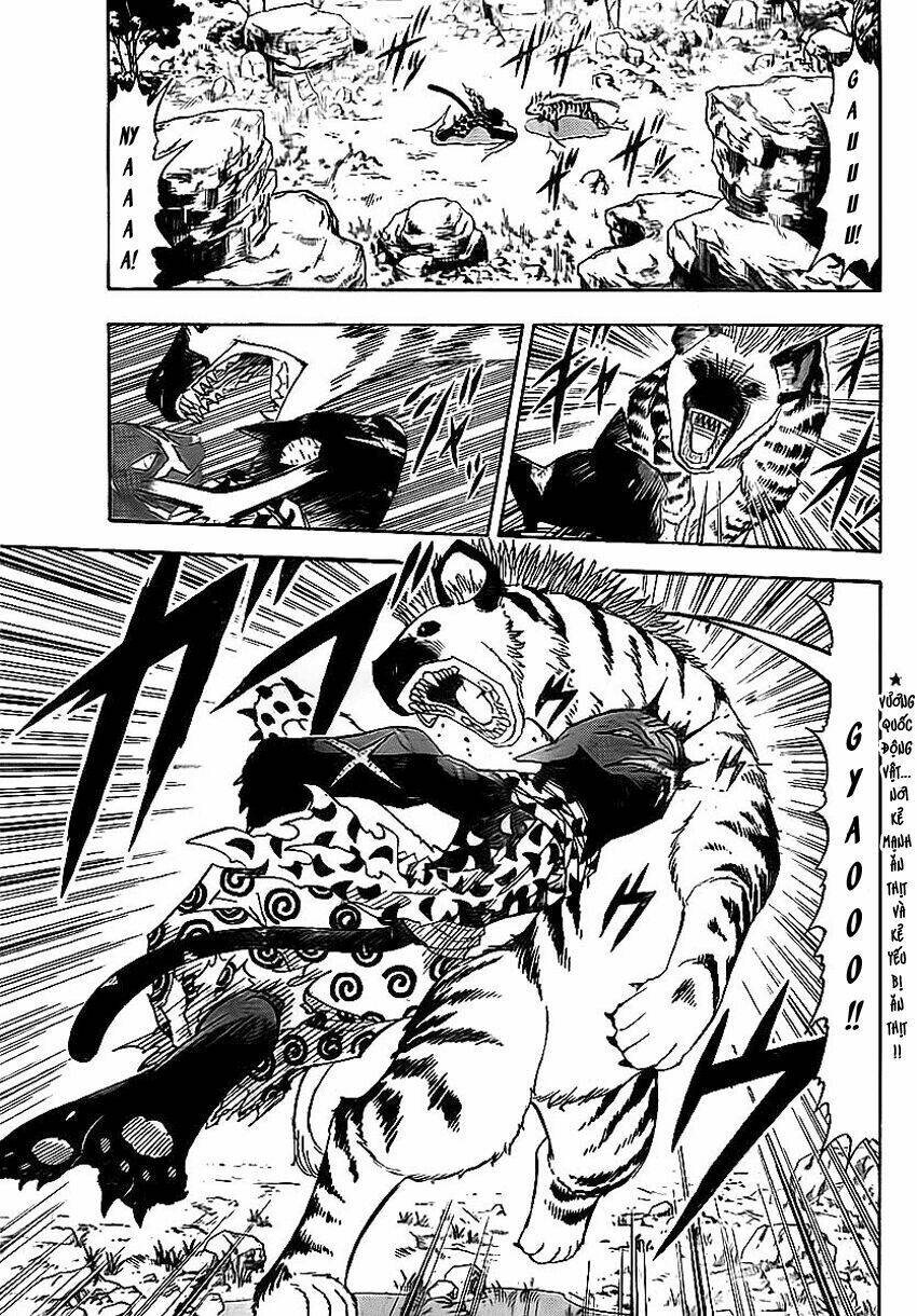 Doubutsu no Kuni - 5