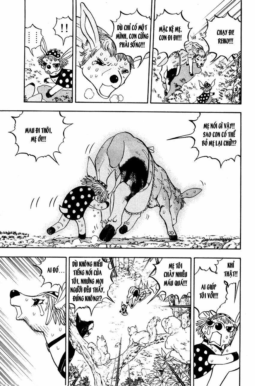 Doubutsu no Kuni - 5