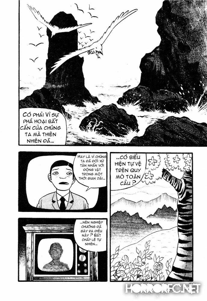 Trang truyện page_59 trong truyện tranh Lullbabies From Hell - Chapter 2 - truyentvn.net