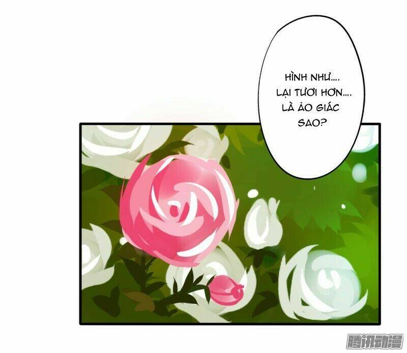 Đam Mỹ Lời Ngụy Biện [Chap 1-24] - Page 4