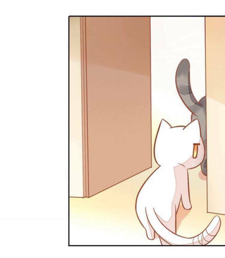 frame-37
