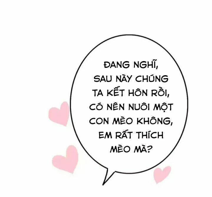 Tình yêu không nói dối [Chap 1-74]