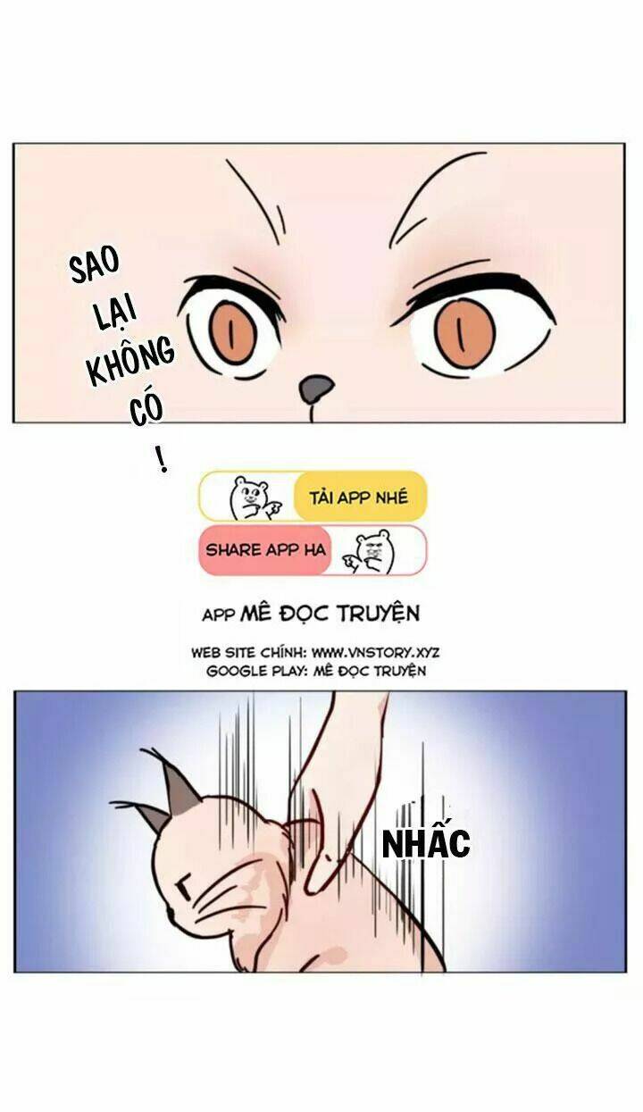 Hồ Tiên này không tin được