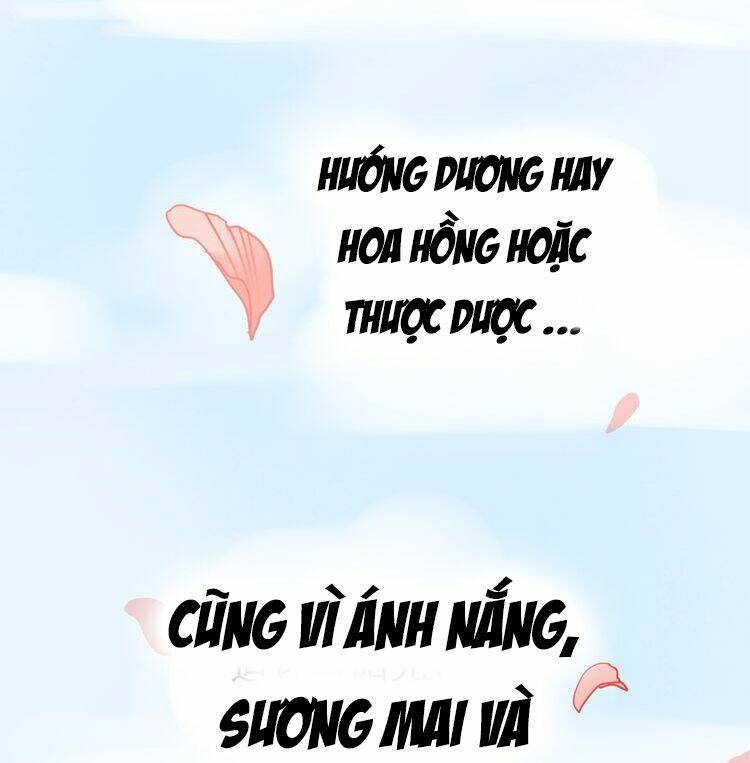 Hướng Tới Ánh Mặt Trời [Chap 1-87]