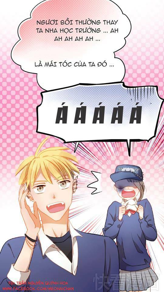 Read Hentai Image page_25 in comic Sự Cám Dỗ Xấu Xa - Chapter 2 - truyentvn.net