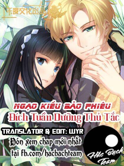 Trang truyện page_1 trong truyện tranh Ngạo Kiều Bảo Phiêu Đích Tuần Dưỡng Thủ Tắt - Chapter 1 - truyentvn.net