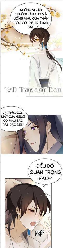 Ly Trần [Chap 0-0] - Page 8