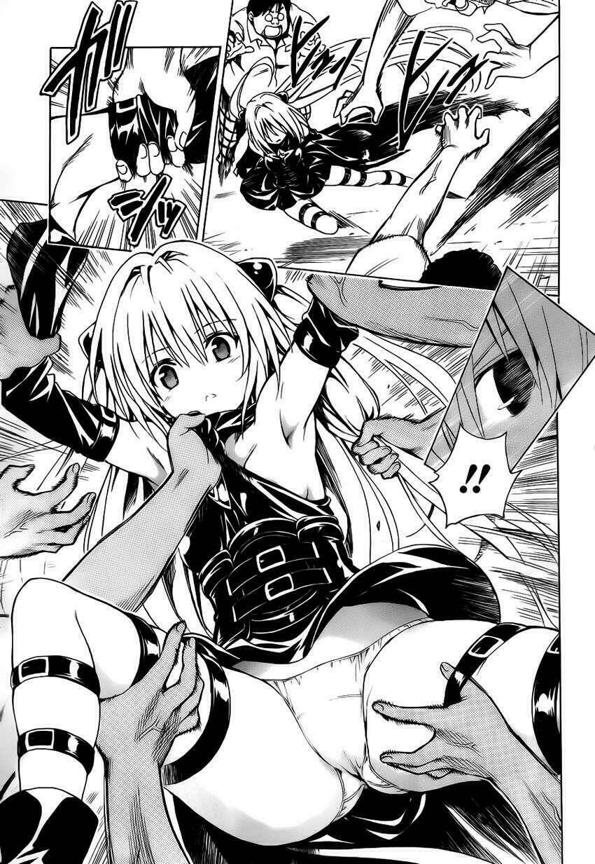 Read Hentai Image page_52 in comic Bọn Tớ Thích cậu! Rito 2 - Chapter 1 - truyentvn.net