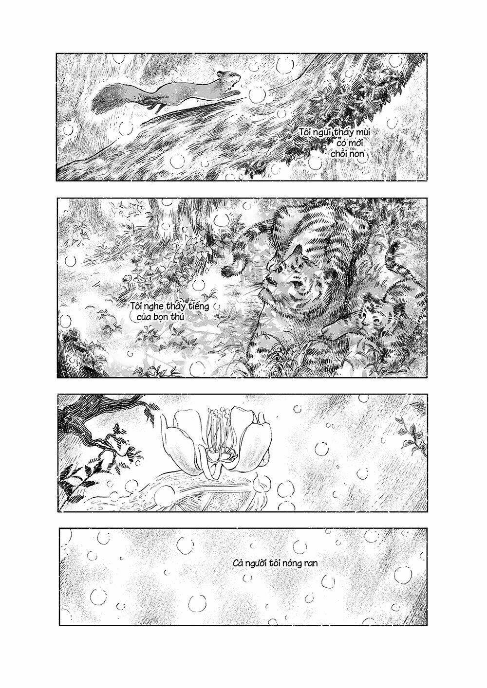 Trang truyện page_6 trong truyện tranh Đi Tìm Mặt Trời - Chapter 1 - truyentvn.net