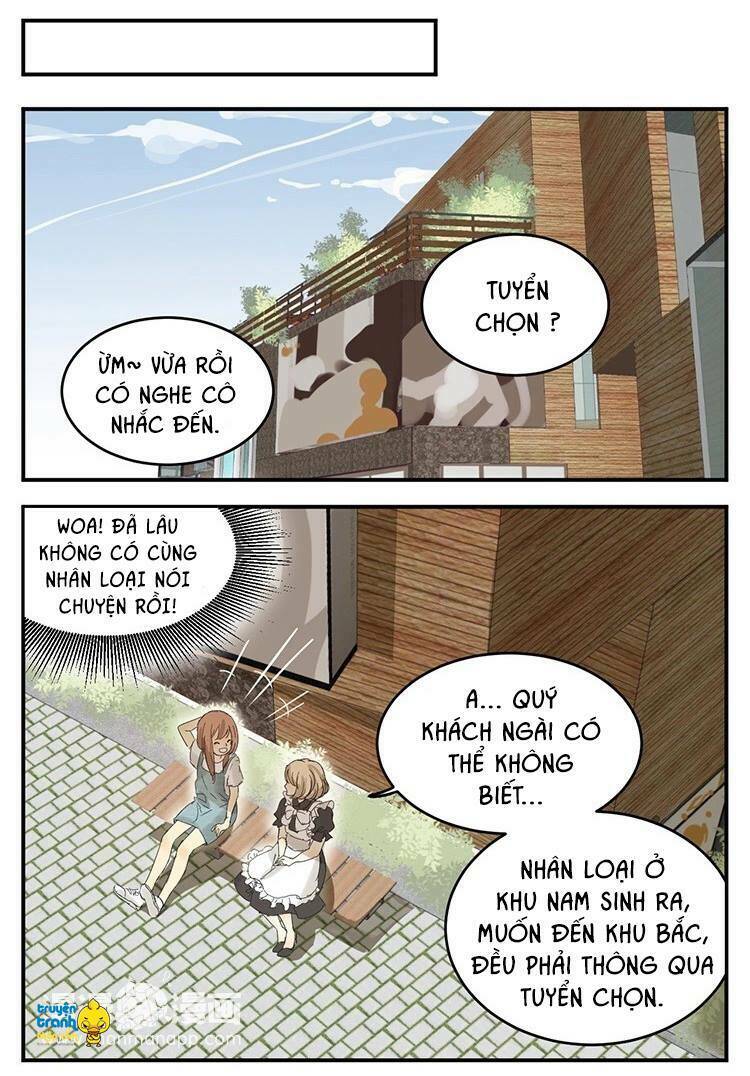 Trang truyện page_2 trong truyện tranh Cứu Mạng ! Loài Mèo Thống Trị Thế Giới Rồi ! - Chapter 12 - truyentvn.net