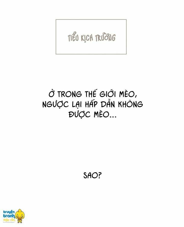 Trang truyện page_25 trong truyện tranh Cứu Mạng ! Loài Mèo Thống Trị Thế Giới Rồi ! - Chapter 13 - truyentvn.net