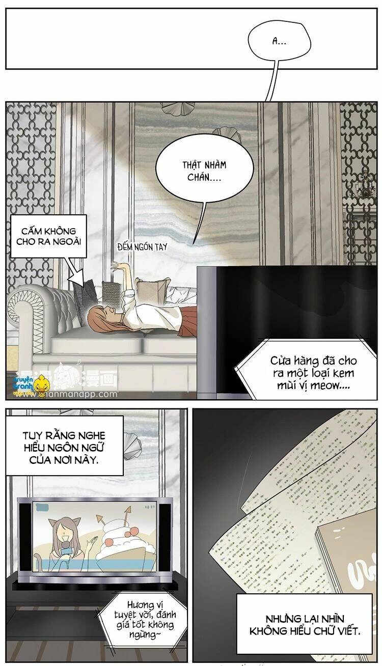 Trang truyện page_2 trong truyện tranh Cứu Mạng ! Loài Mèo Thống Trị Thế Giới Rồi ! - Chapter 8 - truyentvn.net