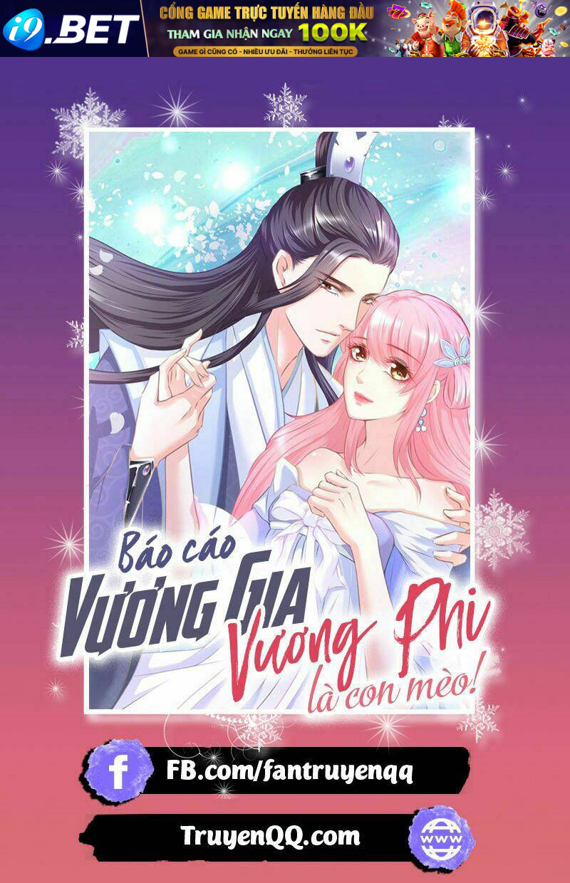 Báo Cáo Vương Gia Vương Phi Là Một Con Mèo [Chap 1-8] - Page 1