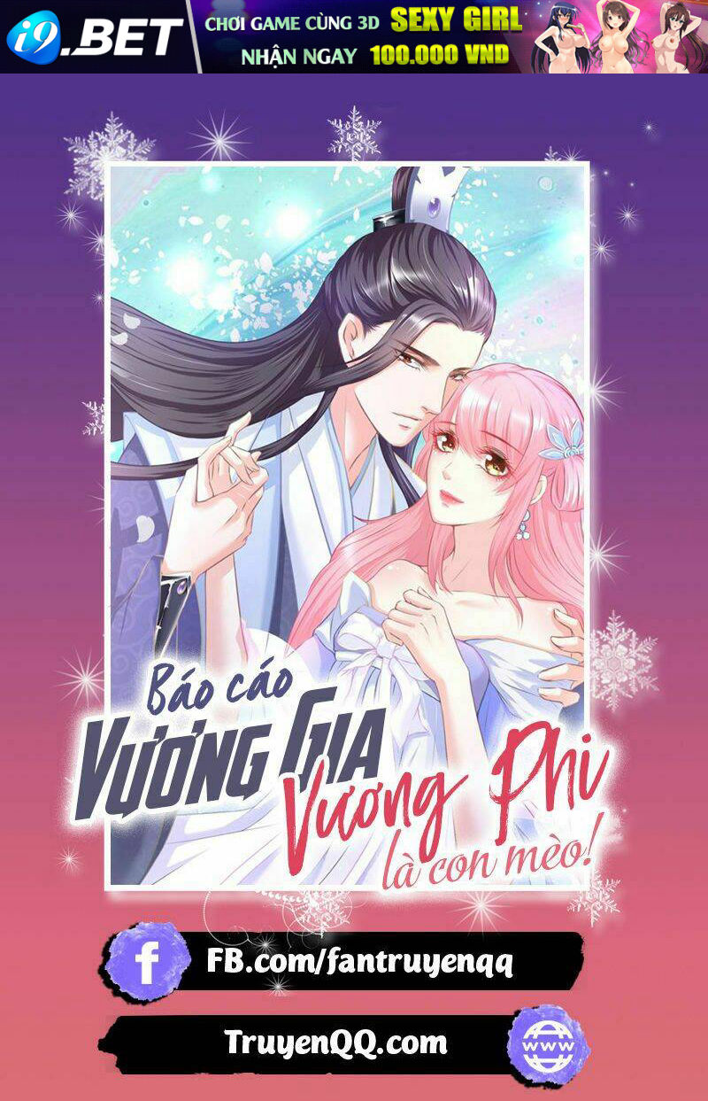 Báo Cáo Vương Gia Vương Phi Là Một Con Mèo [Chap 1-8] - Page 1