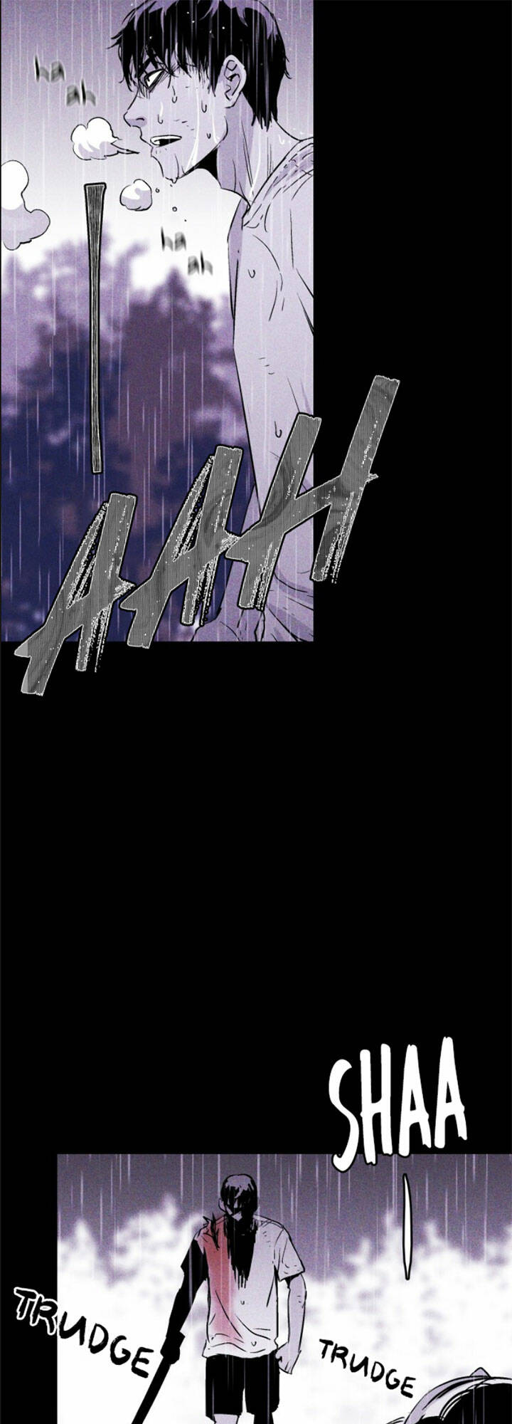 image 45