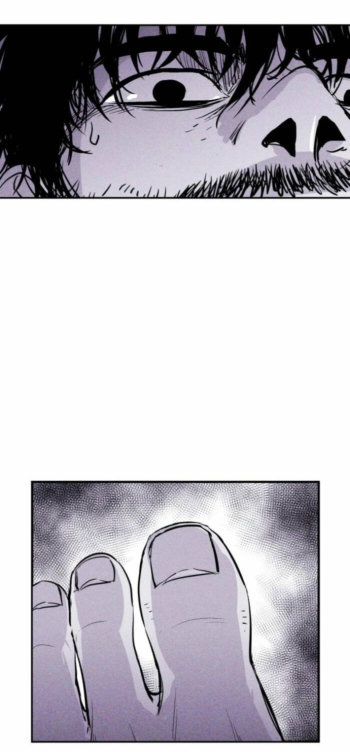 image 41