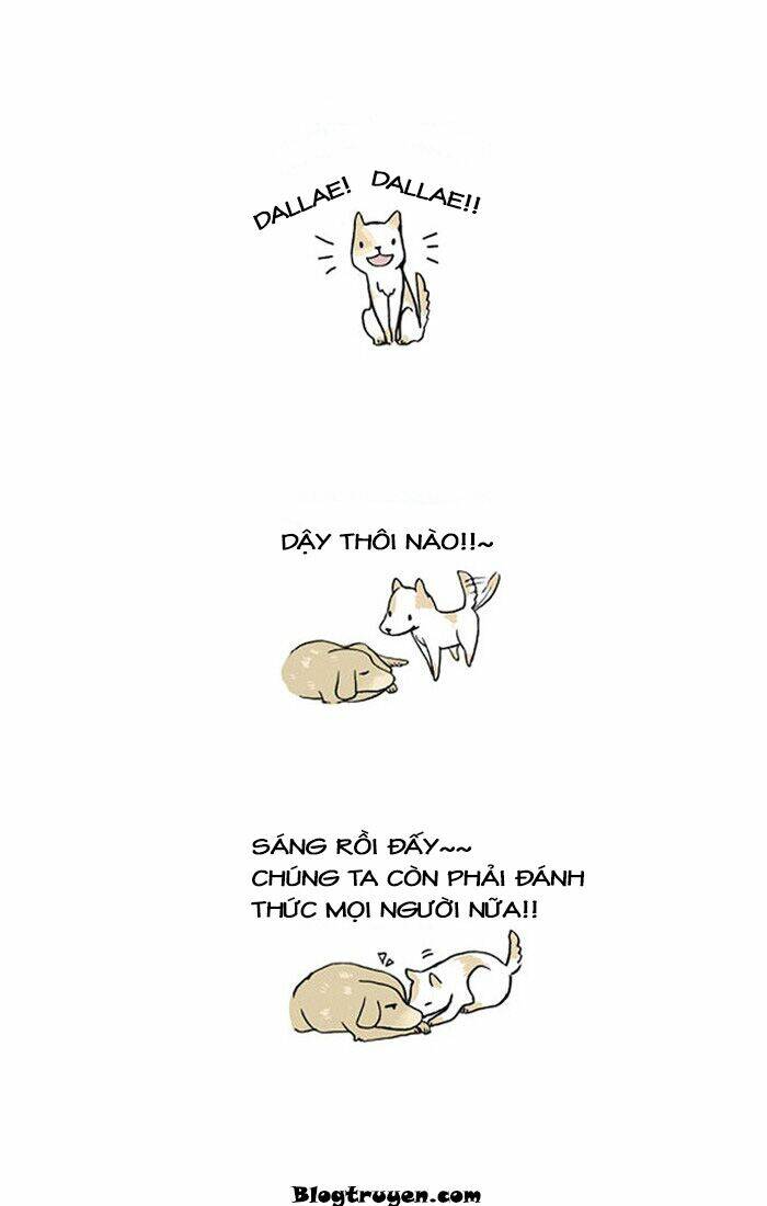 Trang truyện page_3 trong truyện tranh My Kitty And Old Dog - Chapter 12 - truyentvn.net