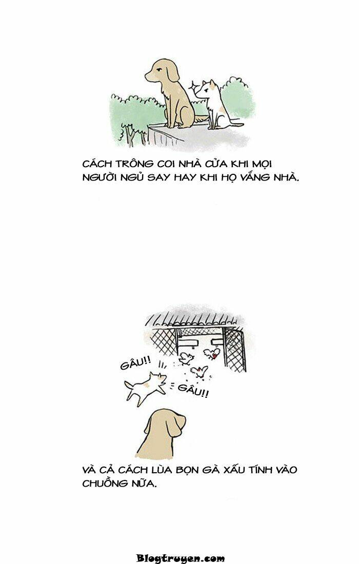 Trang truyện page_6 trong truyện tranh My Kitty And Old Dog - Chapter 12 - truyentvn.net