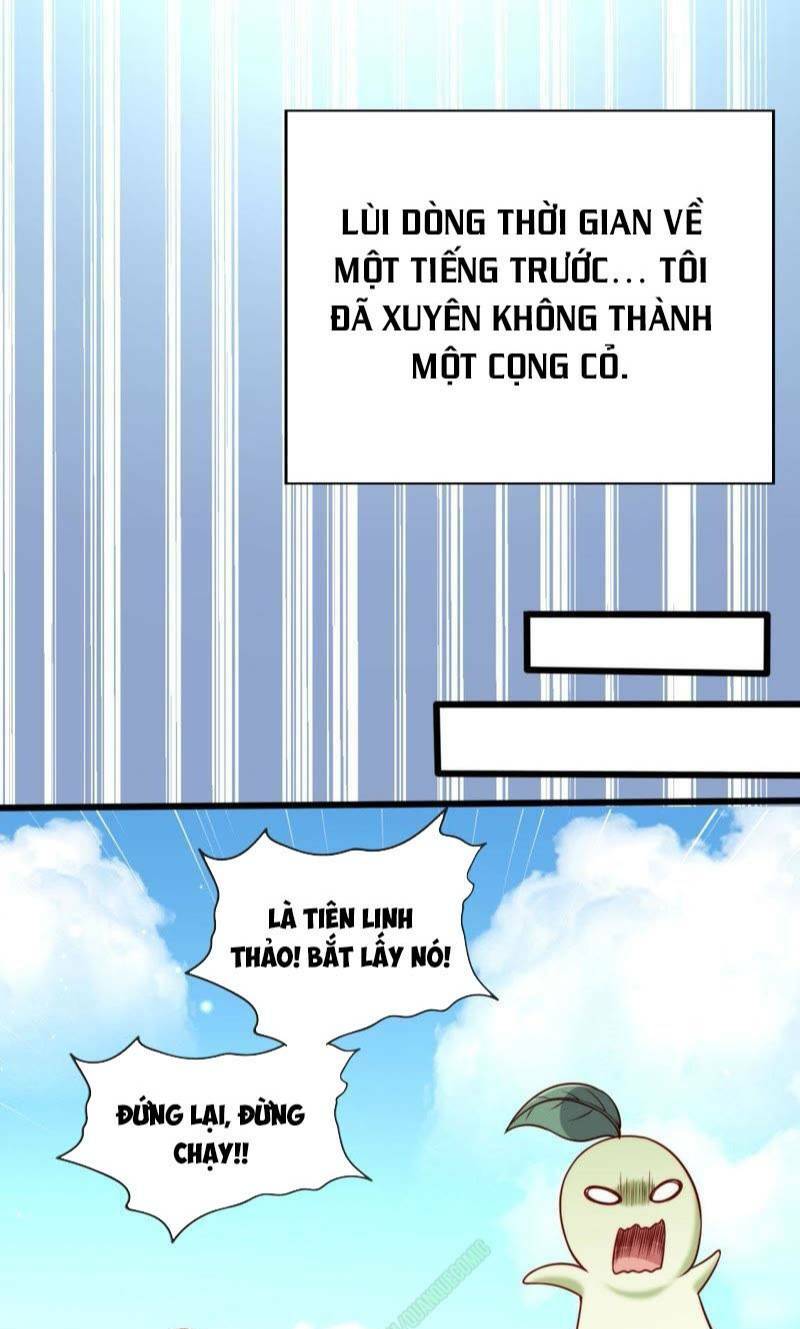 Read Hentai Image page_3 in comic Tại Dị Giới Ta Biến Thành Yêu Cây - Chapter 1 - truyentvn.net