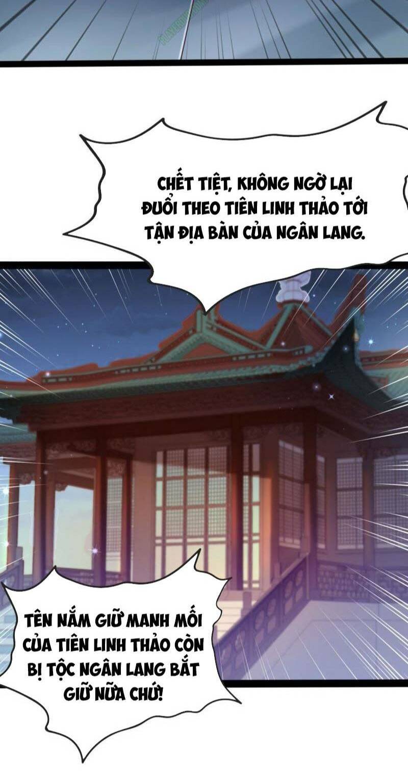 Read Hentai Image page_3 in comic Tại Dị Giới Ta Biến Thành Yêu Cây - Chapter 3 - truyentvn.net