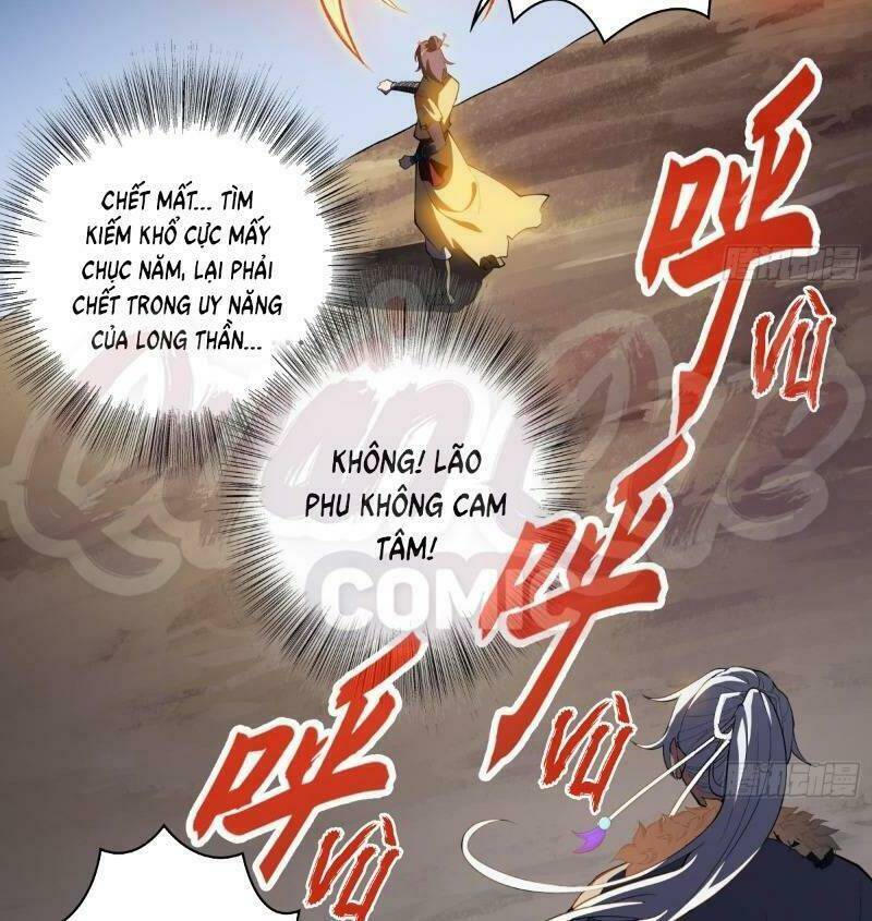 55