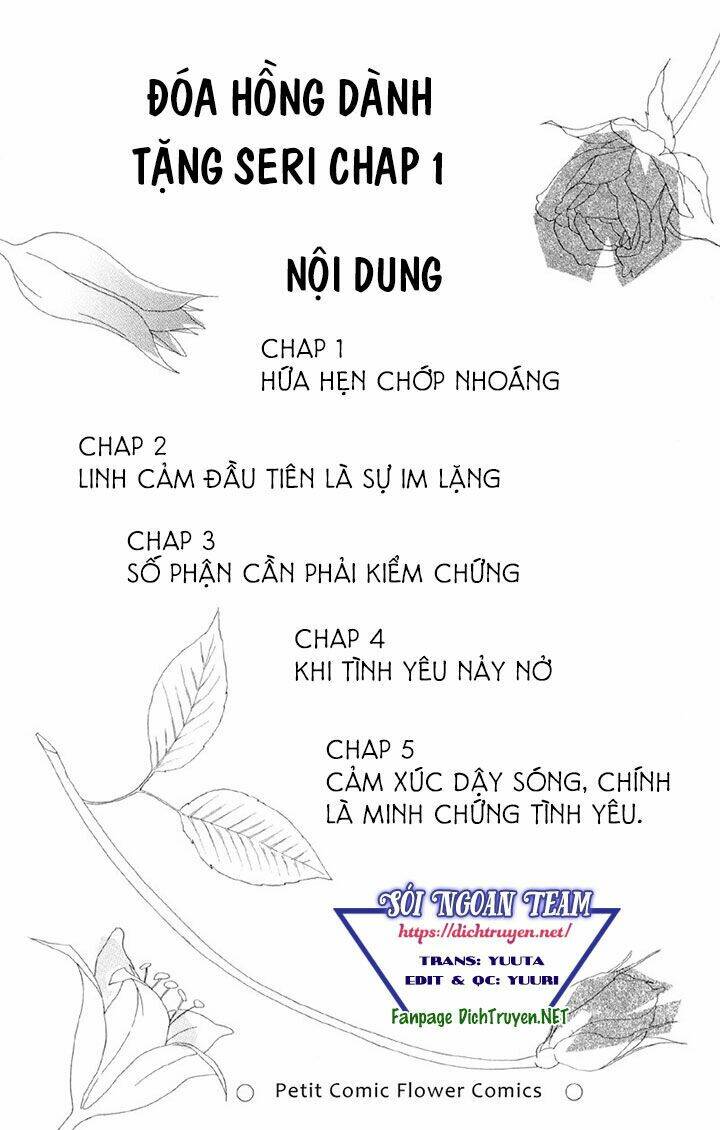 Đóa Hồng Dành Tặng Seri [Chap 1-20] - Page 3