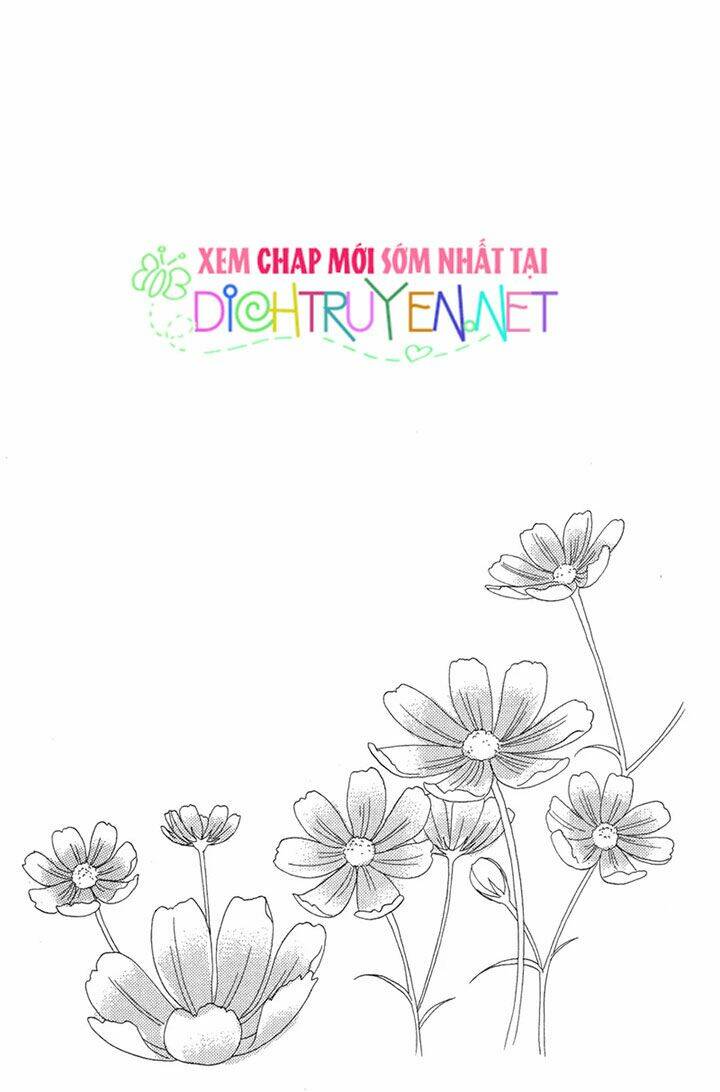 Đóa Hồng Dành Tặng Seri [Chap 1-20] - Page 35