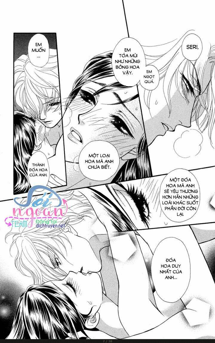 Đóa Hồng Dành Tặng Seri [Chap 1-20] - Page 7