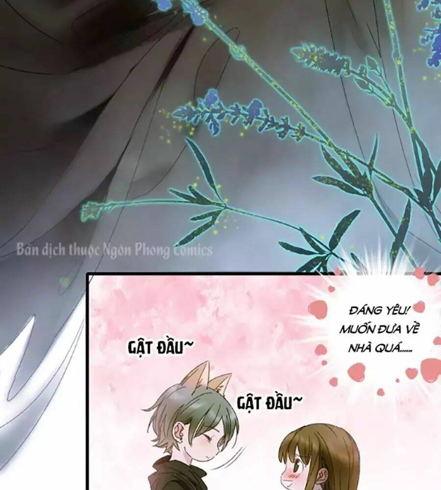 frame-21