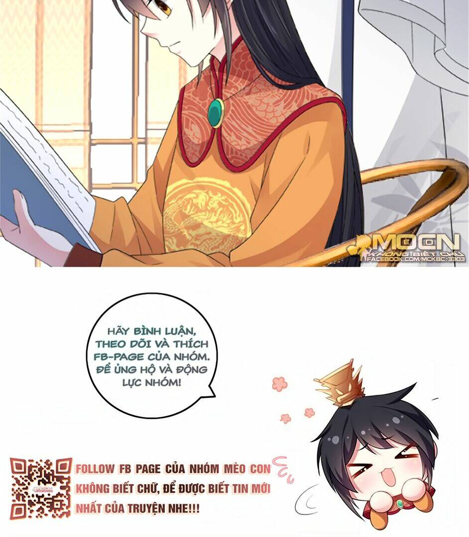 Báo Cáo! Đế Quân Ngài Có Độc! [Chap 1-60] - Page 38