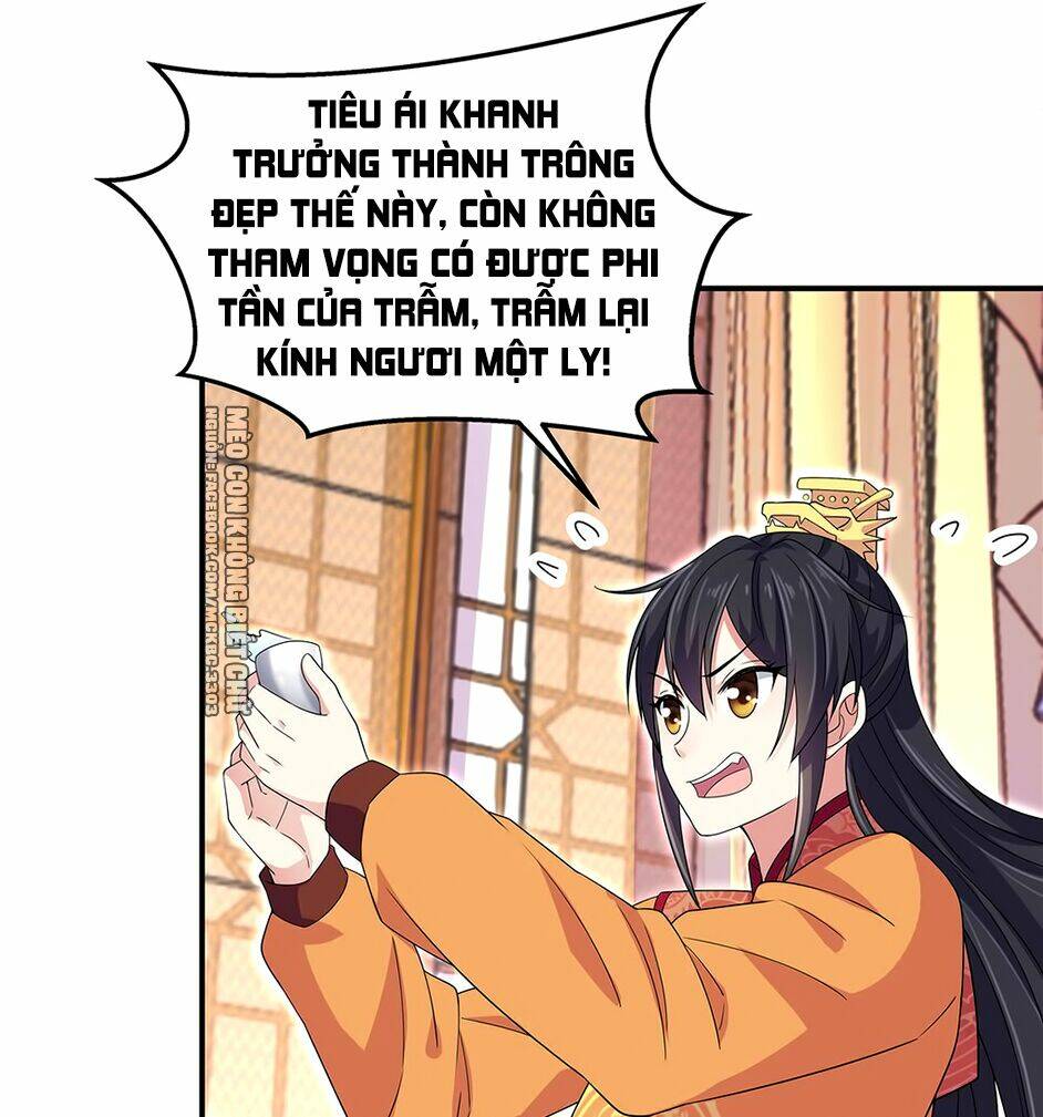 Báo Cáo! Đế Quân Ngài Có Độc! [Chap 1-60] - Page 25