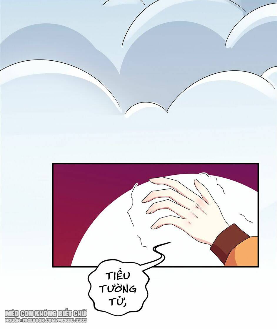 Báo Cáo! Đế Quân Ngài Có Độc! [Chap 1-60] - Page 32