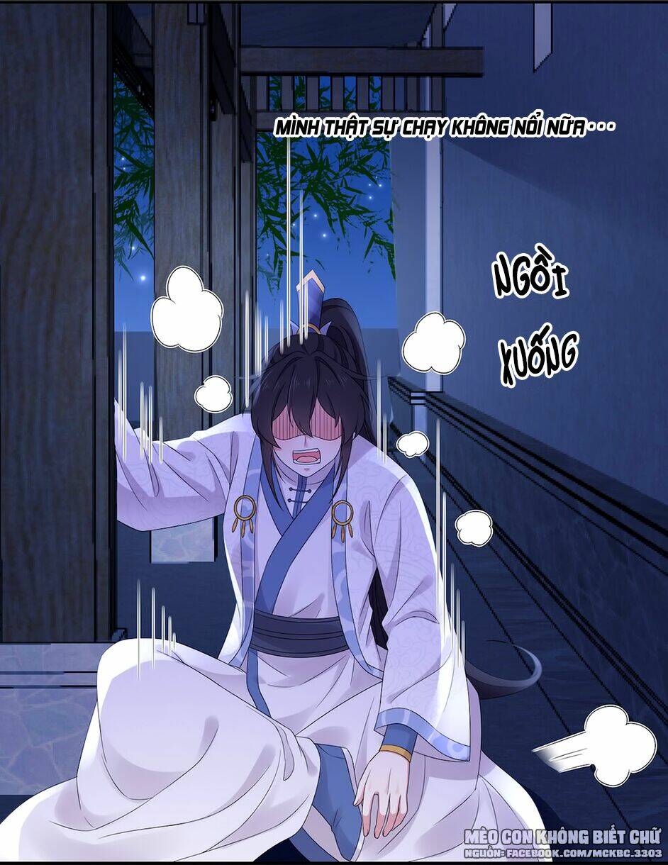 Báo Cáo! Đế Quân Ngài Có Độc! [Chap 1-60] - Page 21