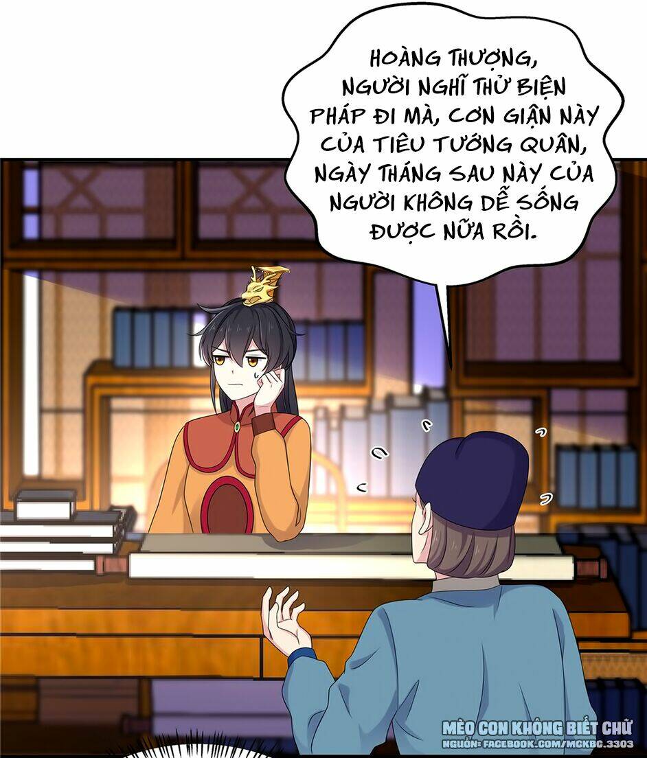 Báo Cáo! Đế Quân Ngài Có Độc! [Chap 1-60] - Page 17