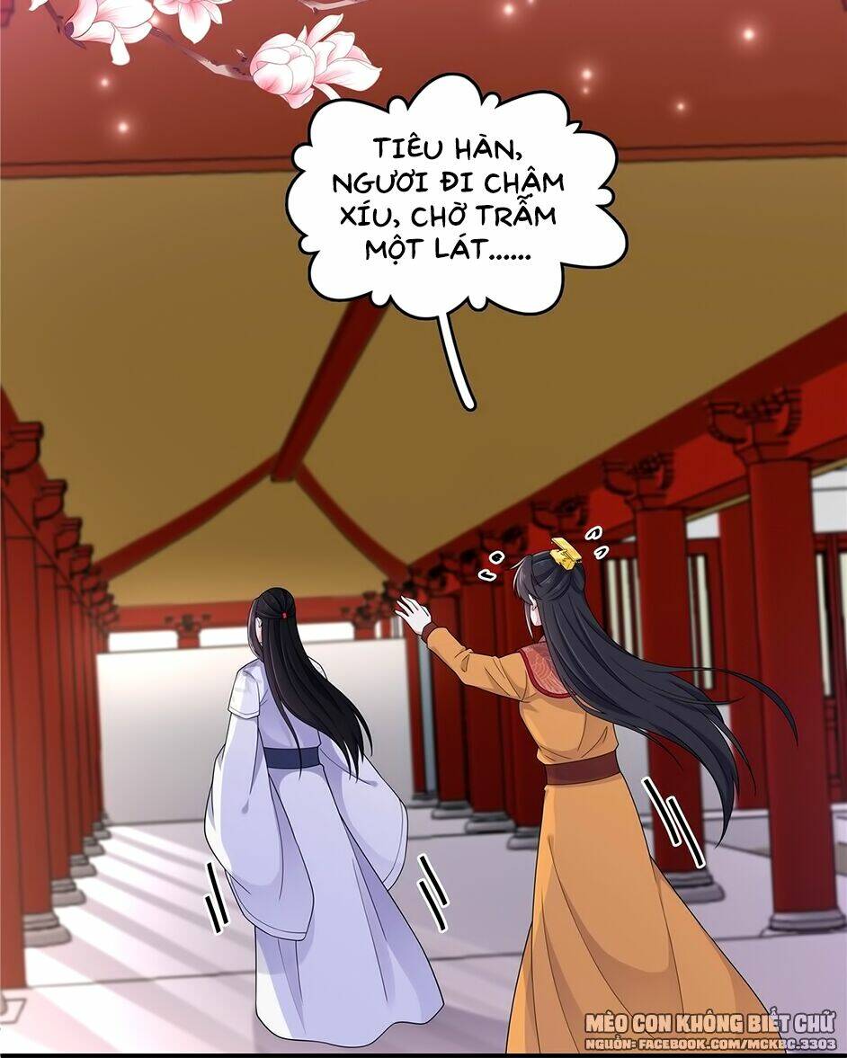 Báo Cáo! Đế Quân Ngài Có Độc! [Chap 1-60] - Page 10