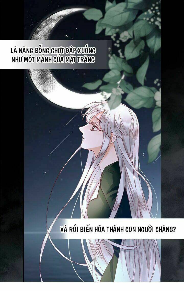 Người Tình Của Hoàng Đế [Chap 1-16] - Page 35