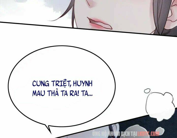 Trọng sinh bá sủng Nhiếp Chính Vương quá mạnh mẽ [Chap 0-233] - Page 12