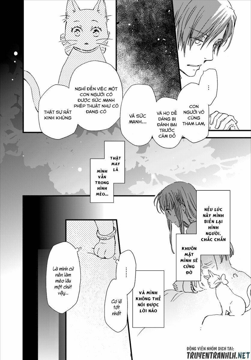 Trang truyện page_25 trong truyện tranh Fukushuu Wo Chikatta Shironeko Wa Ryuuou No Hiza No Jou De Damin Wo Musaboru - Chapter 7 - truyentvn.net