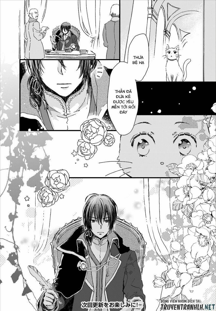 Trang truyện page_27 trong truyện tranh Fukushuu Wo Chikatta Shironeko Wa Ryuuou No Hiza No Jou De Damin Wo Musaboru - Chapter 7 - truyentvn.net