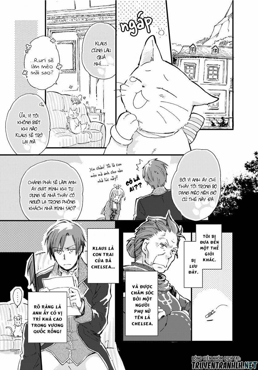 Trang truyện page_6 trong truyện tranh Fukushuu Wo Chikatta Shironeko Wa Ryuuou No Hiza No Jou De Damin Wo Musaboru - Chapter 7 - truyentvn.net