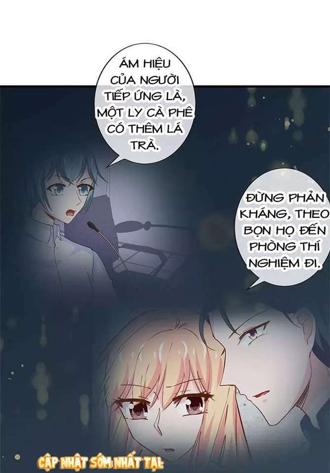 Không Gả Cho Tổng Tài Gả Cho Người Hầu [Chap 0-184] - Page 3