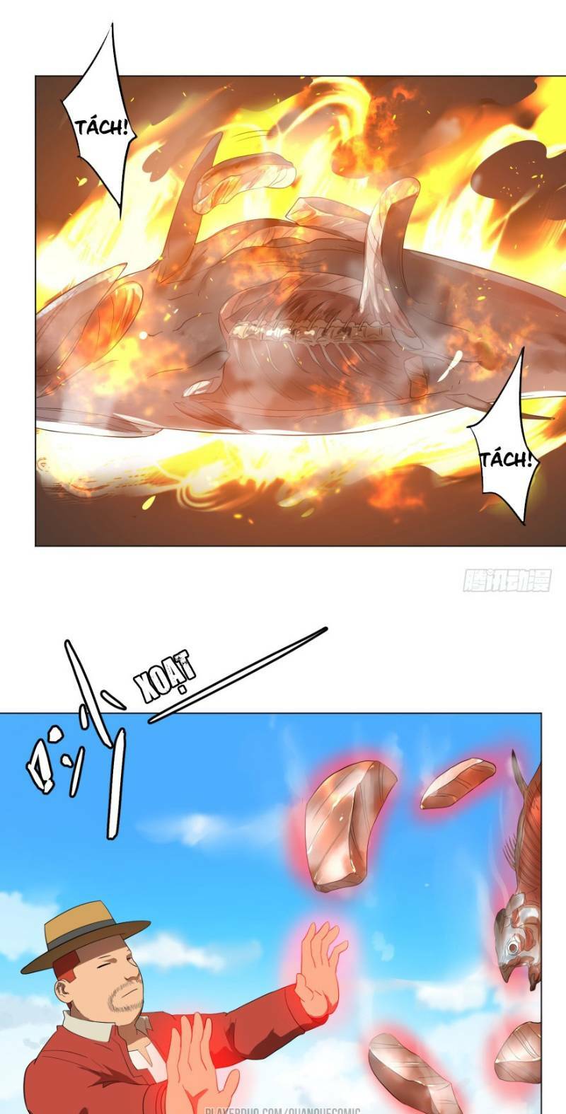 17