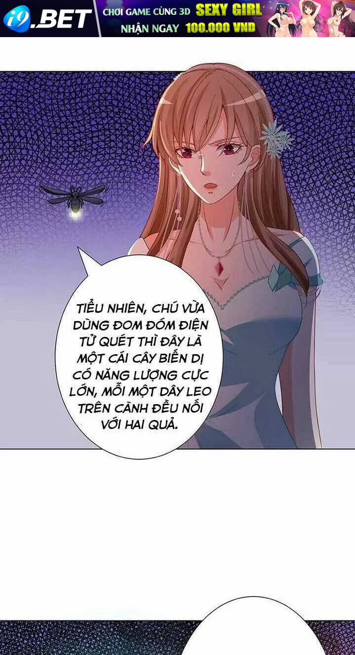 Quy Luật Tình yêu