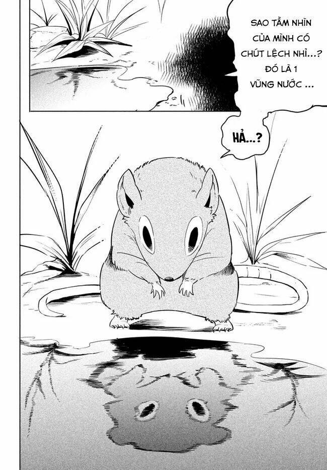 Chuyển Sinh Thành Virus Và Quá Trình Lây Nhiễm Ở Thế Giới Khác [Chap 1-18] - Page 12