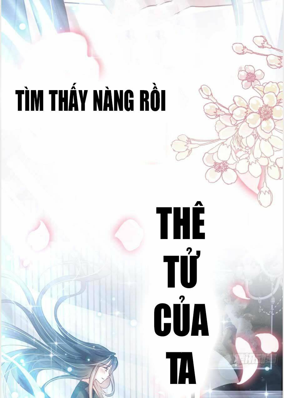 Thiên Hạ Đệ Nhất Sủng Phi [Chap 1-249]